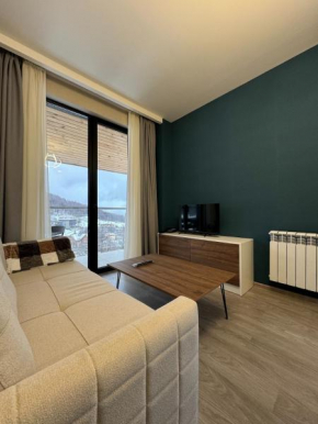 Newly renovated Crystal Resort Apartment